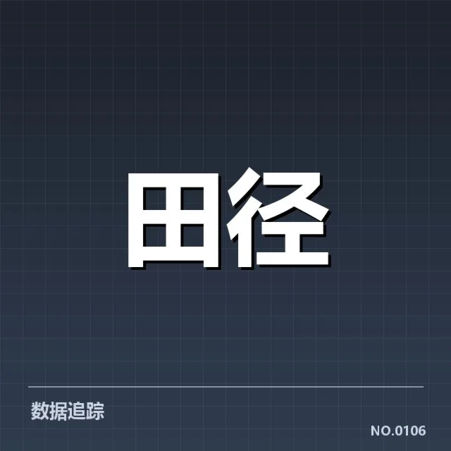 全国田径锦标赛接力磨合：冠军归属与阵容调整困局